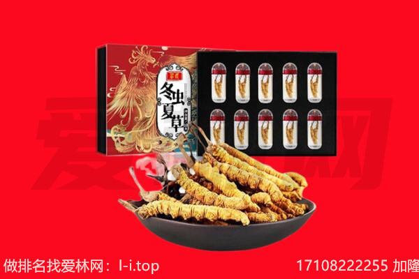 南宁兴宁区回收虫草.jpg
